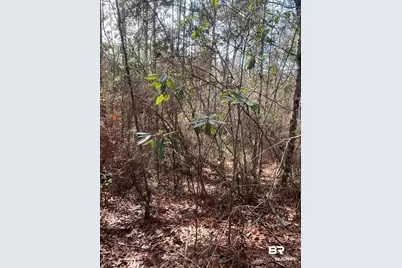 0 Jimmy Faulkner Drive, Spanish Fort, AL 36527 - Photo 7