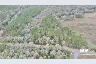 3000 Block N Pine Barren Road, McDavid, FL 32568 - Photo 11
