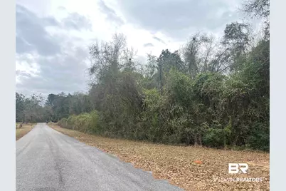 3000 Block N Pine Barren Road, McDavid, FL 32568 - Photo 3