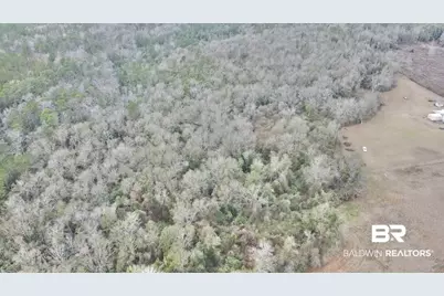 3000 Block N Pine Barren Road, McDavid, FL 32568 - Photo 13
