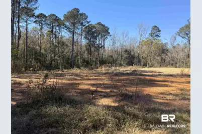 24979 Friendship Road, Daphne, AL 36526 - Photo 3
