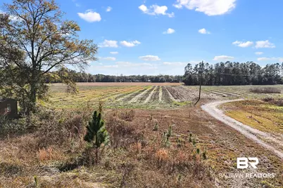 0 US Highway 98, Elberta, AL 36530 - Photo 5