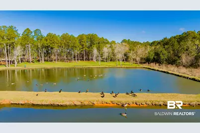 22210 Pastoral Lane, Foley, AL 36535 - Photo 13