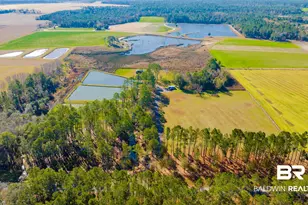 22210 Pastoral Ln, Foley, AL 36535 - Photo 1