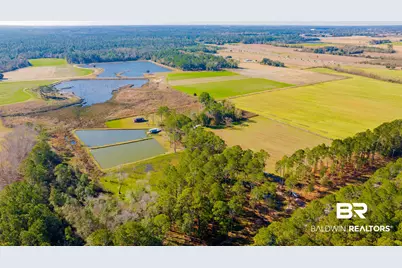 22210 Pastoral Lane, Foley, AL 36535 - Photo 3