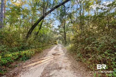 32771 Antietam Road, Lillian, AL 36549 - Photo 91