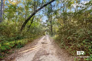 32771 Antietam Rd, Lillian, AL 36549 - Photo 91