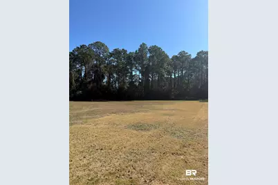 22483 Beaver Creek Lane, Orange Beach, AL 36561 - Photo 1