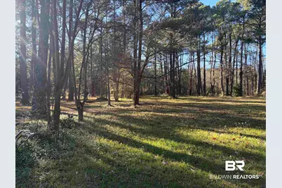 0 Venice Court, Mobile, AL 36605 - Photo 3