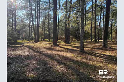 0 Venice Court, Mobile, AL 36605 - Photo 1