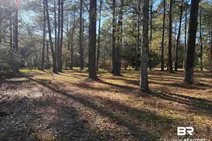 0 Venice Ct, Mobile, AL 36605 - Photo 1