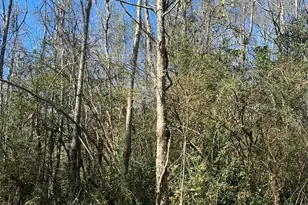 Abernathy Ave, Bay Minette, AL 36507 - Photo 1