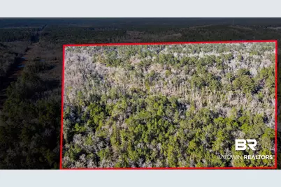 9510 D'Olive Road, Spanish Fort, AL 36527 - Photo 25