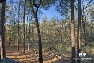 9510 D'Olive Rd, Spanish Fort, AL 36527 - Photo 5