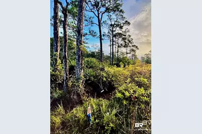 0 Gulf Crest Drive, Gulf Shores, AL 36542 - Photo 1