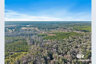 55750 Lottie Road, Perdido, AL 36562 - Photo 3