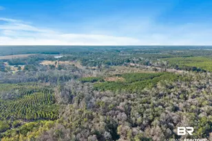 55750 Lottie Rd, Perdido, AL 36562 - Photo 3