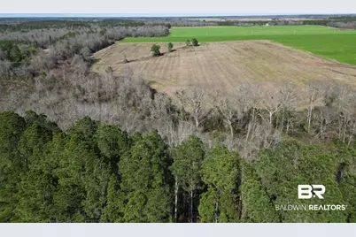 5400 Blk Rockaway Creek Road, McDavid, FL 32568 - Photo 5