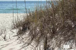 14100 River Rd, Perdido Key, FL 32507 - Photo 21