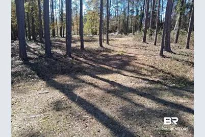 10116 Bayhaven Drive, Fairhope, AL 36532 - Photo 1