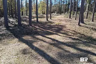 10116 Bay Haven Dr, Fairhope, AL 36532 - Photo 1