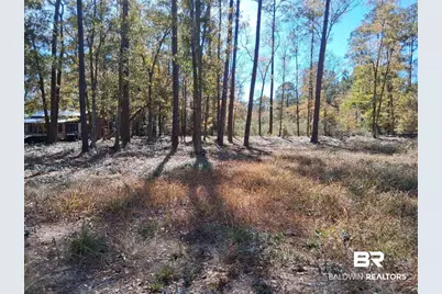 10116 Bayhaven Drive, Fairhope, AL 36532 - Photo 11