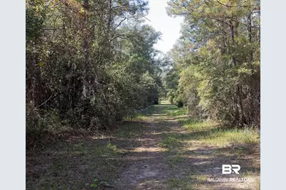 0 Nolte Creek Drive, Foley, AL 35635 - Photo 17