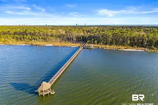 331 Peninsula Blvd, Gulf Shores, AL 36542 - Photo 59