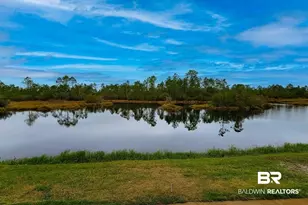 24101 Perdido Beach Blvd, Orange Beach, AL 36561 - Photo 5