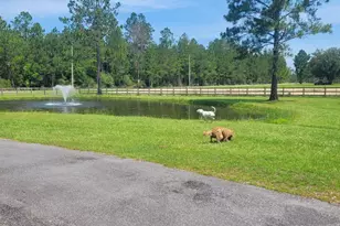 27860 Goat Cooper Rd, Robertsdale, AL 36567 - Photo 39