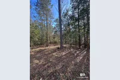 0 Boardwalk Drive, Daphne, AL 36527 - Photo 11