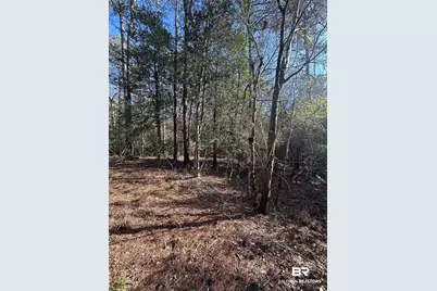 0 Boardwalk Drive, Daphne, AL 36527 - Photo 9