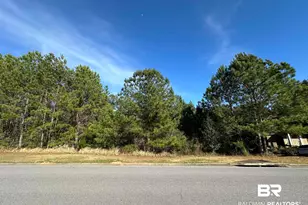 0 Boardwalk Dr, Daphne, AL 36527 - Photo 1