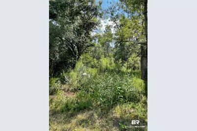 20150 County Road 87, Robertsdale, AL 36567 - Photo 1