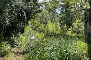 20150 Co Rd 87, Robertsdale, AL 36567 - Photo 1