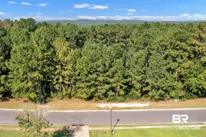 0 Delvan Lane, Spanish Fort, AL 36507 - Photo 9
