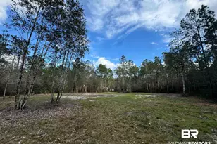 51235 Phillipsville Rd, Bay Minette, AL 36507 - Photo 55