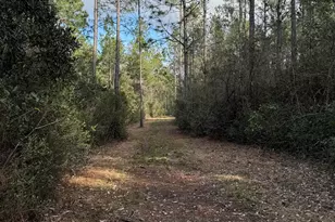 51235 Phillipsville Rd, Bay Minette, AL 36507 - Photo 59