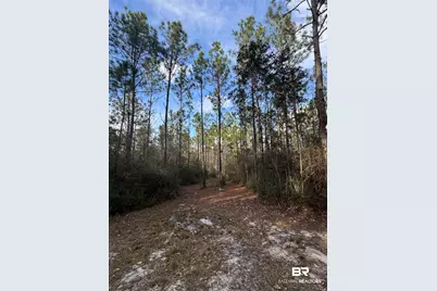 51235 Phillipsville Road, Bay Minette, AL 36507 - Photo 57