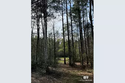 51235 Phillipsville Road, Bay Minette, AL 36507 - Photo 51