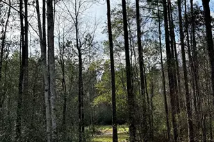 51235 Phillipsville Rd, Bay Minette, AL 36507 - Photo 51