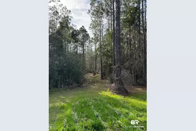 51235 Phillipsville Road, Bay Minette, AL 36507 - Photo 53