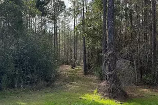 51235 Phillipsville Rd, Bay Minette, AL 36507 - Photo 53
