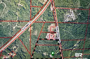 51235 Phillipsville Rd, Bay Minette, AL 36507 - Photo 61