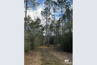 51235 Phillipsville Road, Bay Minette, AL 36507 - Photo 59