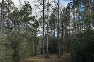 51235 Phillipsville Rd, Bay Minette, AL 36507 - Photo 59