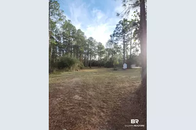 17086 State Highway 180, Gulf Shores, AL 36542 - Photo 3