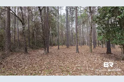 0 Wolf Bay Drive, Foley, AL 36535 - Photo 21