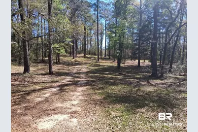 43053 State Highway 225, Bay Minette, AL 36507 - Photo 7