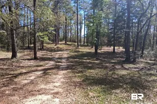 43053 State Hwy 225, Bay Minette, AL 36507 - Photo 7